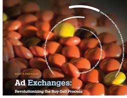 Razorfish Digital Outlook Paper 2009 and Ad Exchanges