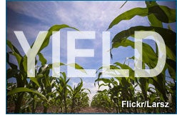 Yield Optimization and the Display Ad Futures Exchange