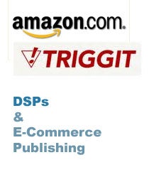 Amazon.com and Triggit