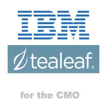 IBM Buys Tealeaf