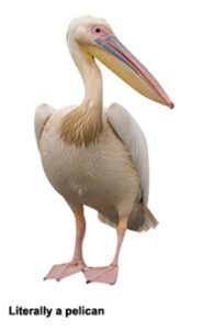 Neustar has added PeLICAn to the Privacy Sandbox, a proposal it hopes will trigger a serious discussion about cookieless measurement in Chrome.