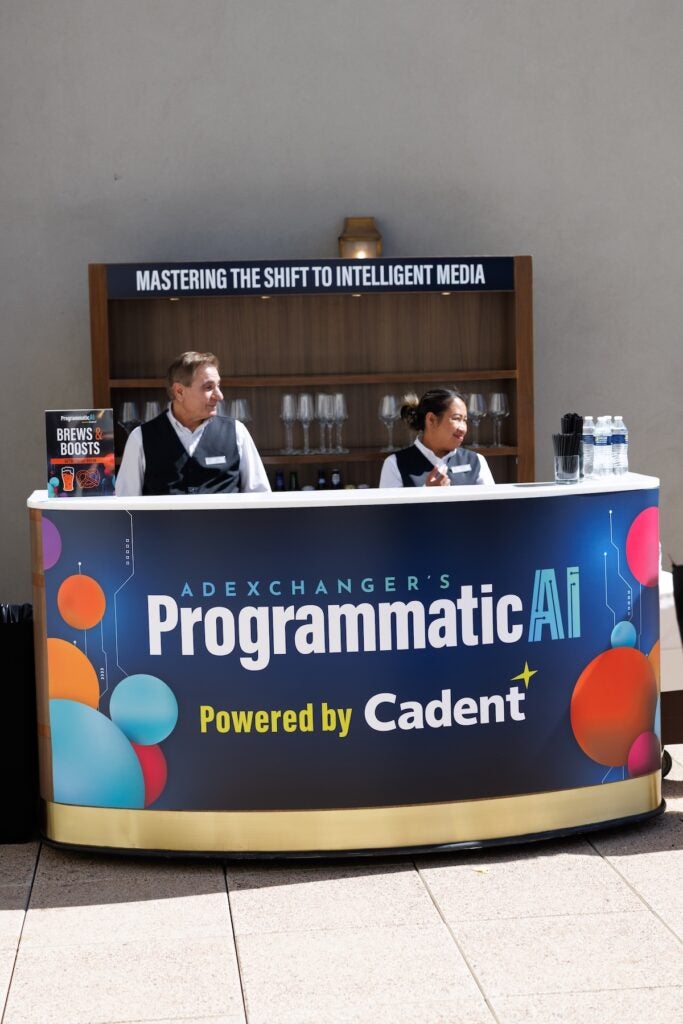 programmatic-487